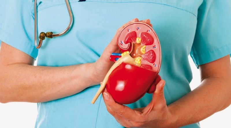 Dr. Mohan Singh Provide Best Kidney Failure Treatment in Bareilly
